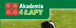 Akademia 4 Łapy - szkolenie psów Warszawa